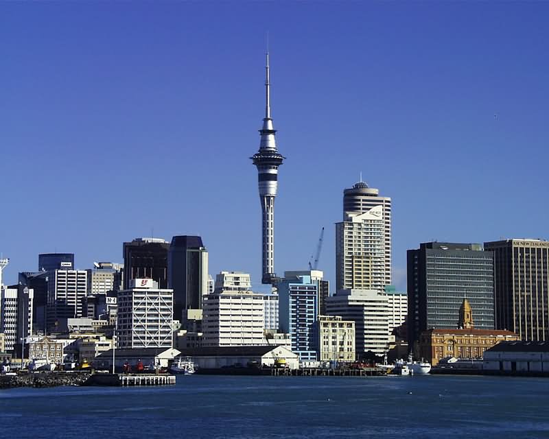 Sky Tower With Surrounding Buildings