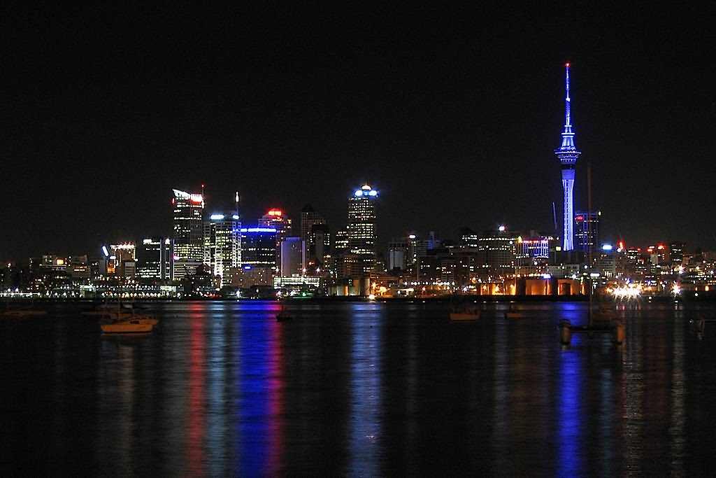 Sky Tower At The Night Picture