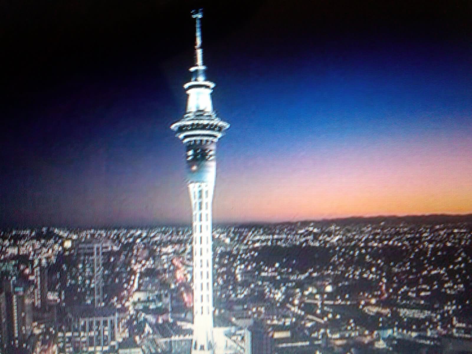 Sky Tower Lit Up At Night