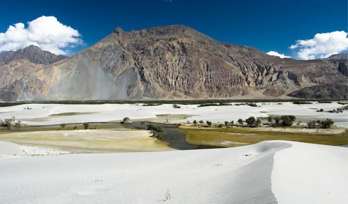 The Gorgeous Expanse Of The Hunder Sand Dunes At Nubra Valley