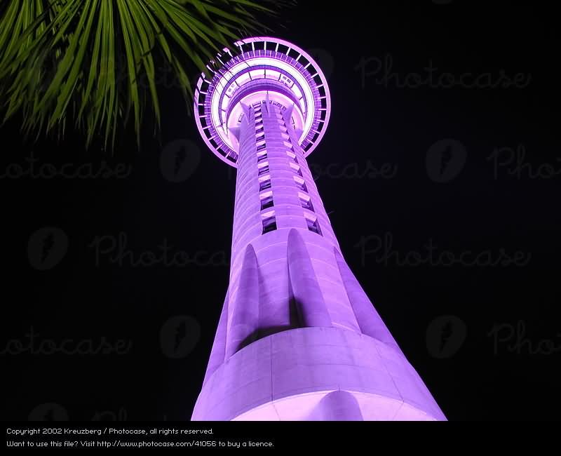 The Sky Tower In Auckland In Purple Light At Night
