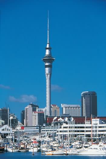 The Sky Tower In Auckland