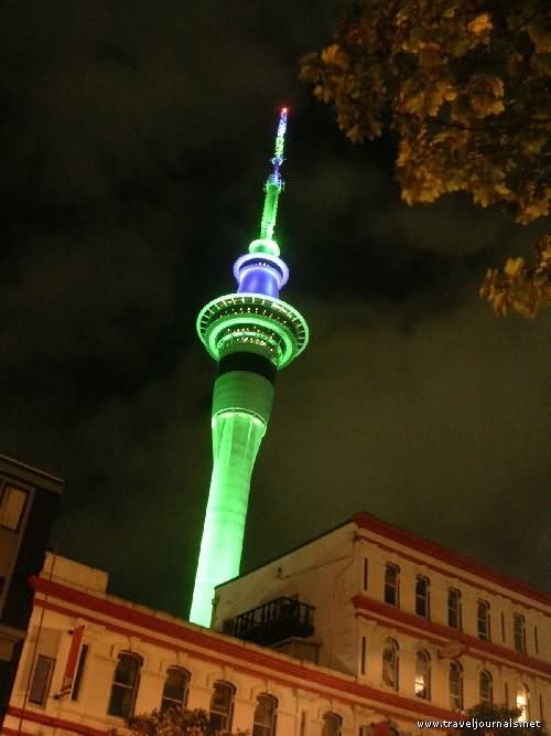 The Sky Tower Looks Green At Night