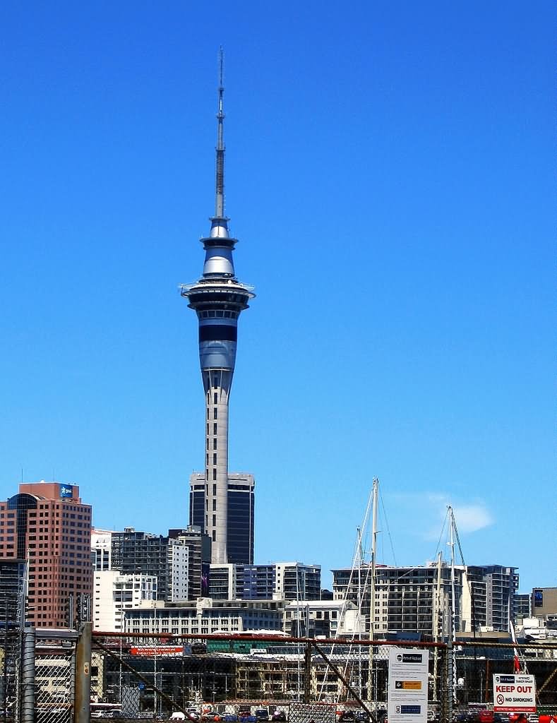 The Sky Tower Picture