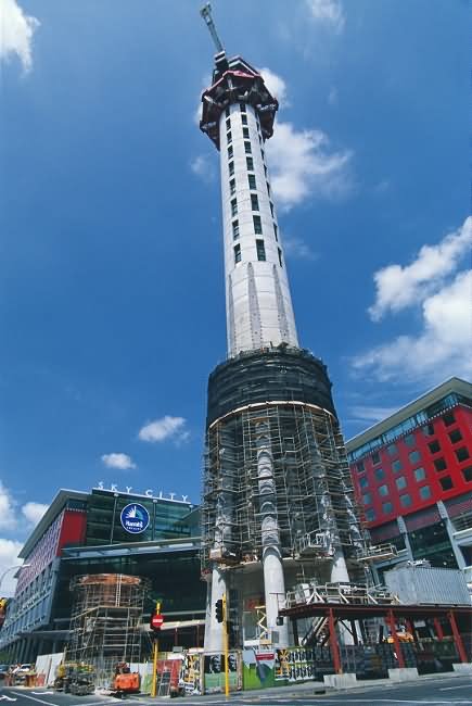 The Sky Tower View From Below Picture