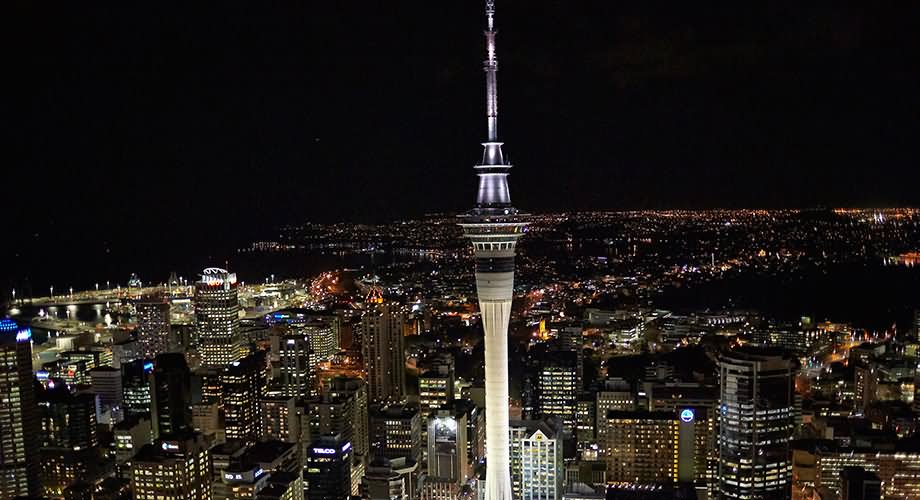 The Sky Tower And Auckland City Night View