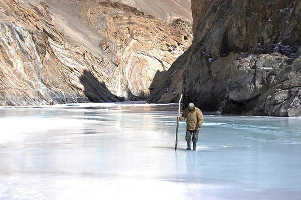 Tourist Walking On The Frozen Zanskar Valley