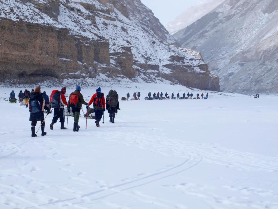 Trekkers At The Frozen Zanskar Valley Picture