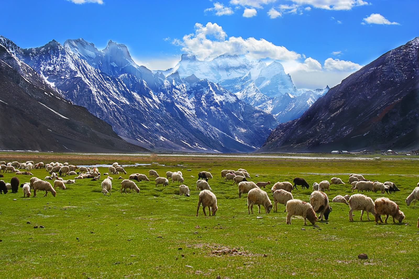 Zanskar Valley Amazing View Picture