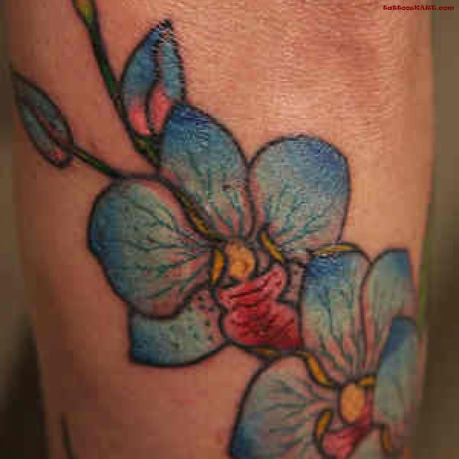 Blue Ink Hibiscus Tattoo On Arm