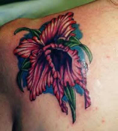 Hibiscus Tattoo on Back Shoulder