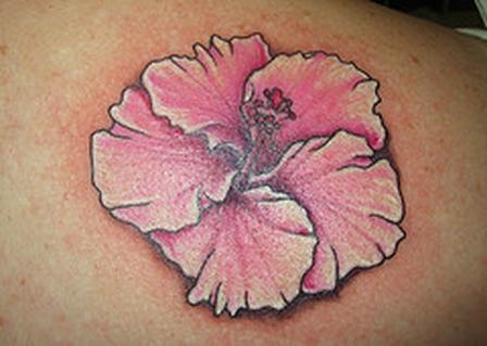 Pink Hibiscus Flower Tattoo On Shoulder