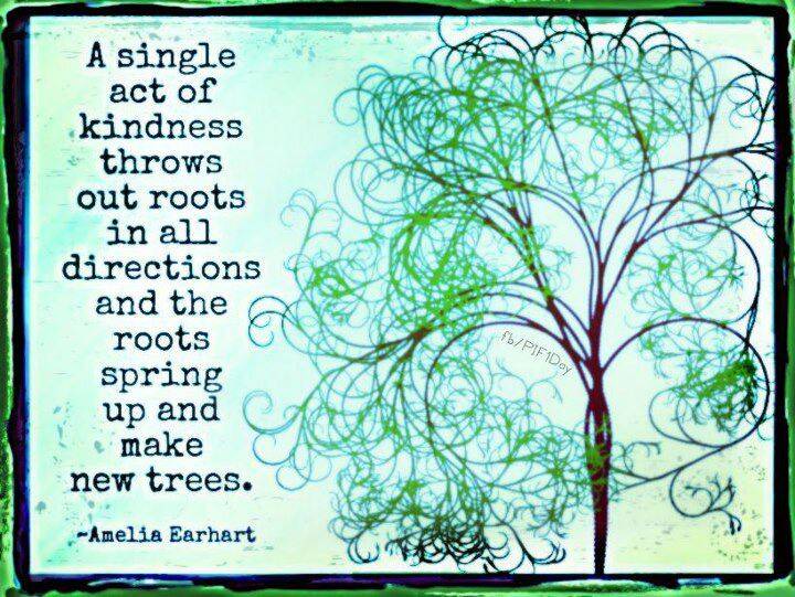 A single act of kindness throws out roots in all directions, and the roots spring up and make new trees  - Amelia Earhart