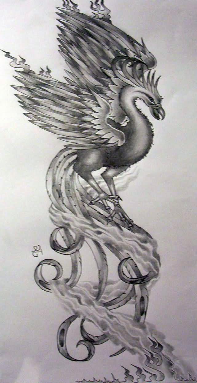 Amazing Grey Ink Girly Phoenix Tattoo Design