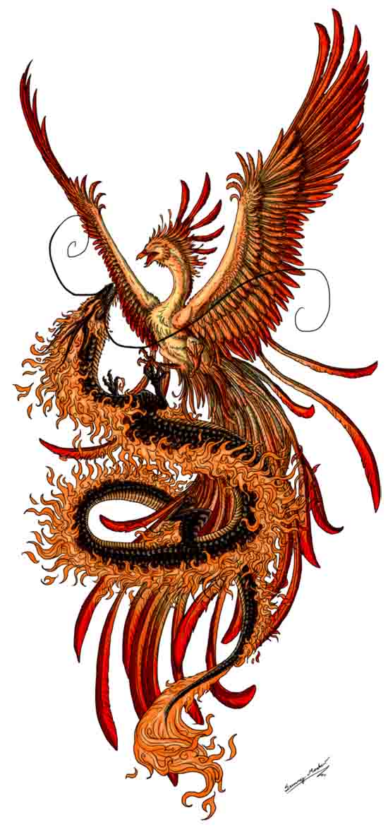 Amazing Phoenix With Dragon Tattoo Design