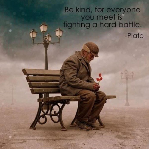 Be kind, for everyone you meet is fighting a harder battle  - Plato