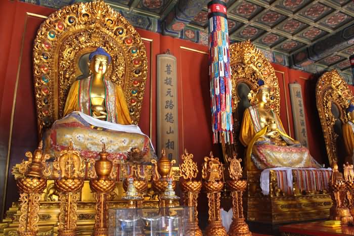 Beautiful Lord Buddha Statues Inside The Yonghe Temple, Beijing