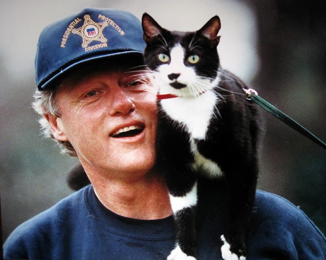 Bill Clinton With Cat Funny Face Picture
