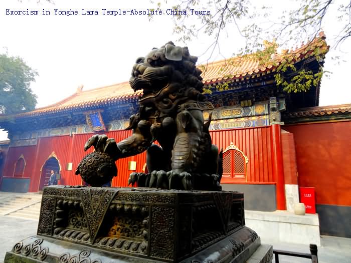 Bronze Guardian Lion Statue At The Yonghe Temple, Beijing
