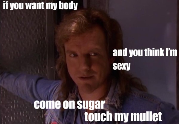 Come On Sugar Touch My Mullet Very Funny Meme Picture