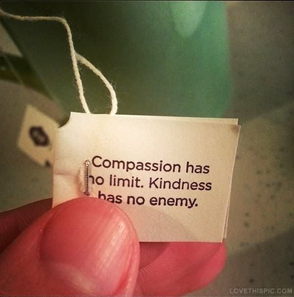 Compassion no limit. Kindness has no enemy.