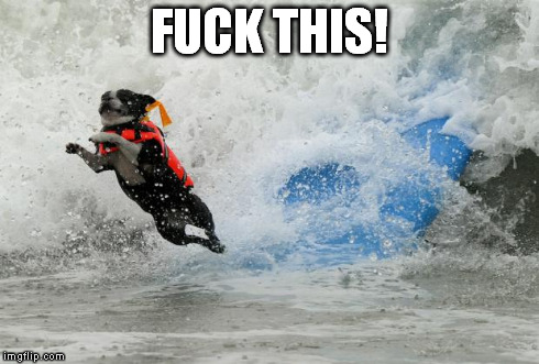 Dog Surfing Funny Meme Photo For Facebook