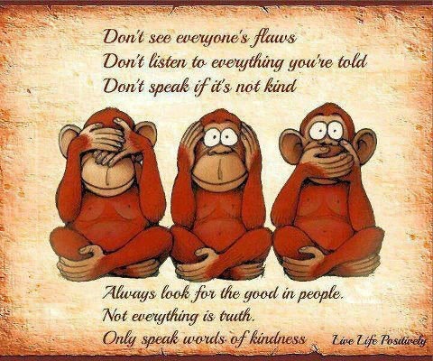 Don’t see everyone’s flaws, Don’t listen to everything you’re told, Don’t speak if it’s not kind, Always look for the good in people, Not everything is truth, Only speak words of kindness.