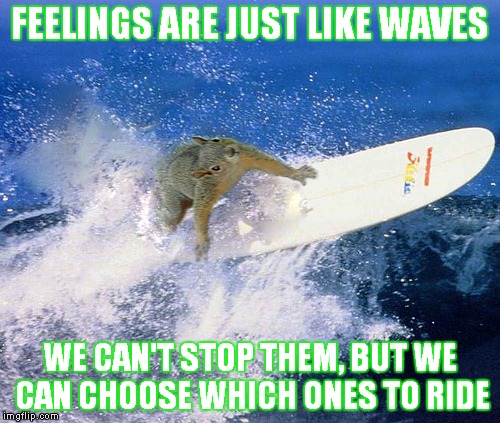 Feelings Are Just Like Waves Funny Surfing Meme Image