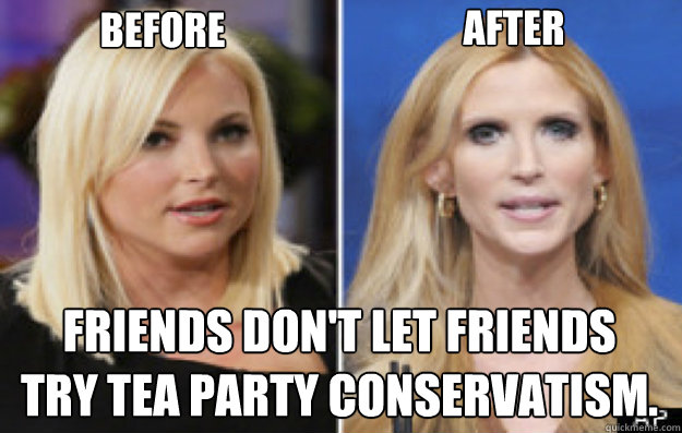 Friends Don't Let Friends Try Tea Party Conservatism Funny Meme Image