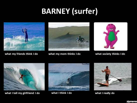 Funny Barney Surfer Meme Picture
