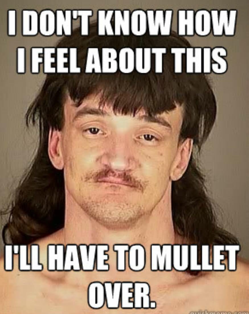 Funny Mullet Meme I Don't Know How I Feel About This Image