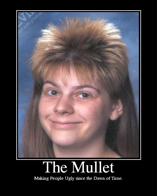 Funny Mullet Meme The Mullet Making People Ugly Since The Dawn Of Time Photo