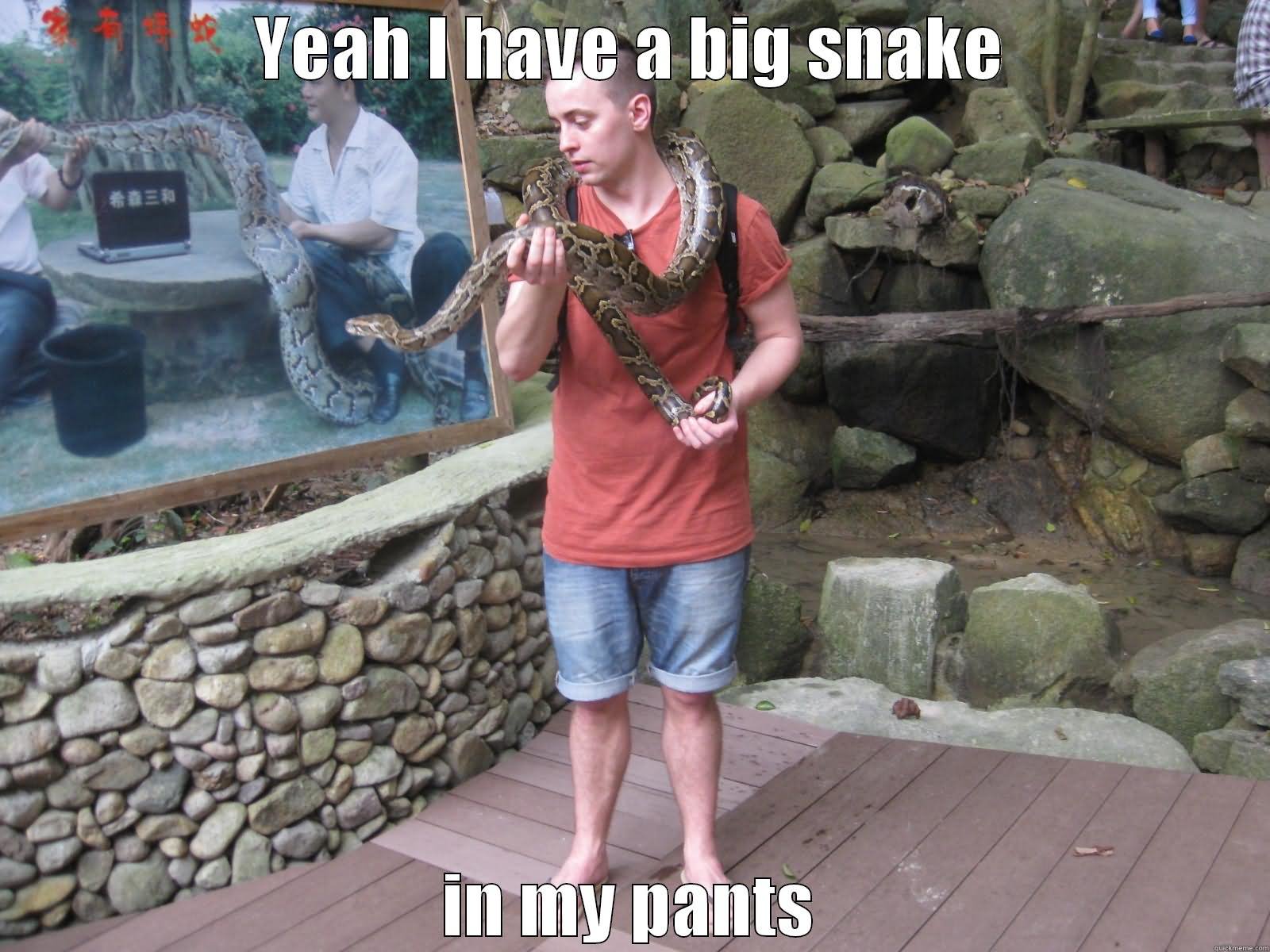 Funny Pants Meme Yeah I Have A Big Snake In My Pants Picture