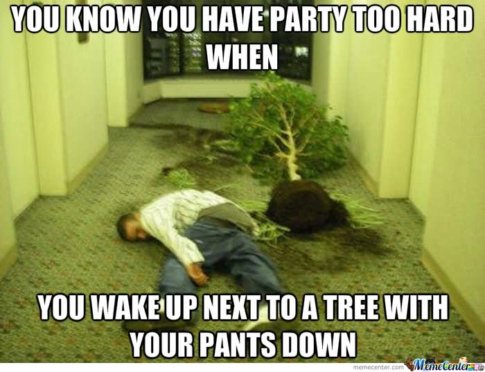 Funny Party Meme You Know Have Party Too Hard Picture