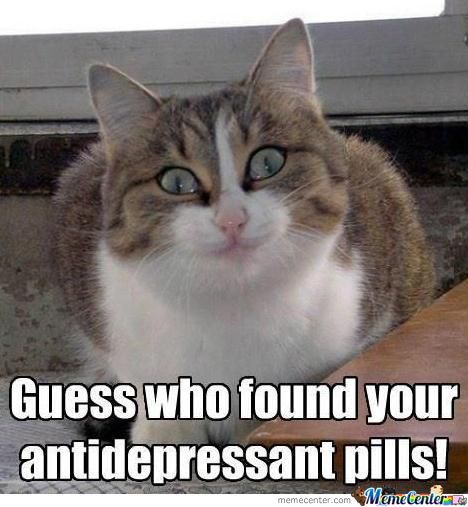 Funny Smile Meme Guess Who Found Antidepressant Pills Image