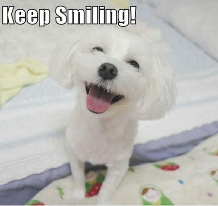 35 Funny Smile Meme Images And Photos That Will Make You Laugh