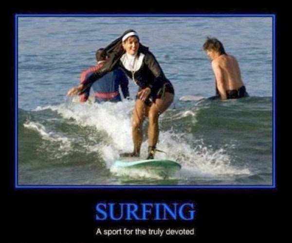 Funny Surfing Meme Poster Picture