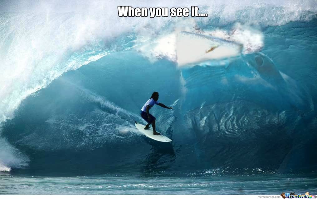 Funny Surfing Meme When You See It Picture
