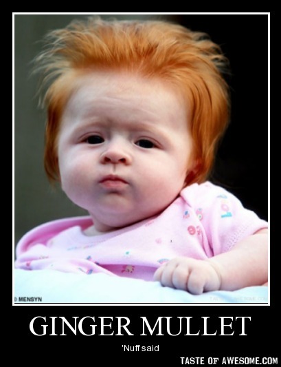 Ginger Mullet Nuff Said Funny Meme Poster Image