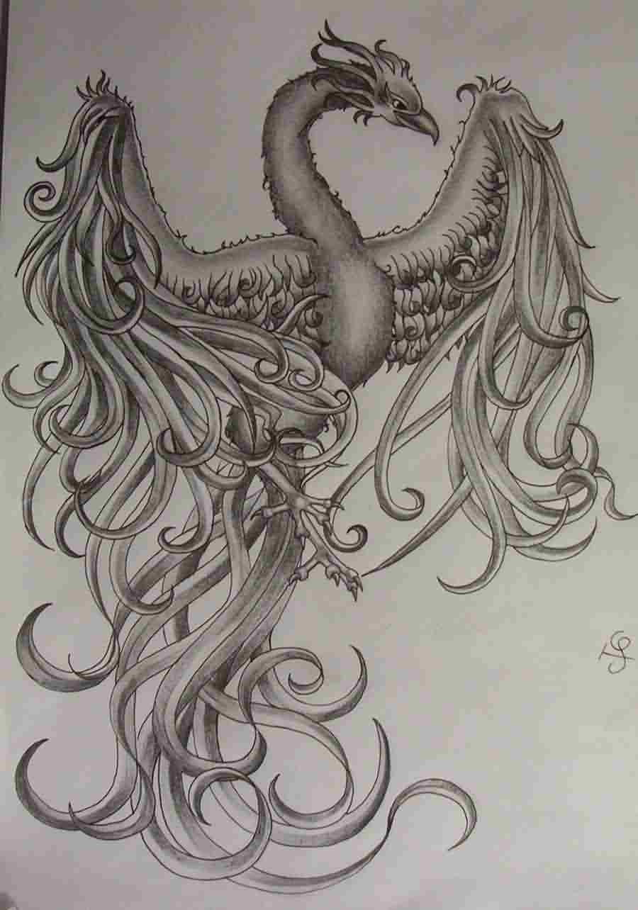Grey Ink Girly Flying Phoenix Tattoo Design