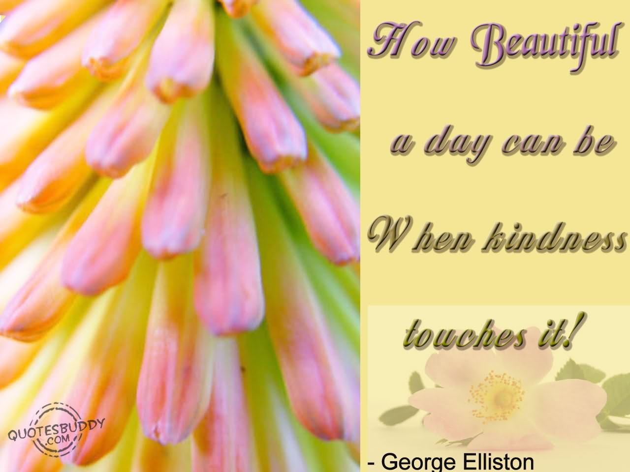 How beautiful a day can be when kindness touches it  - George Elliston