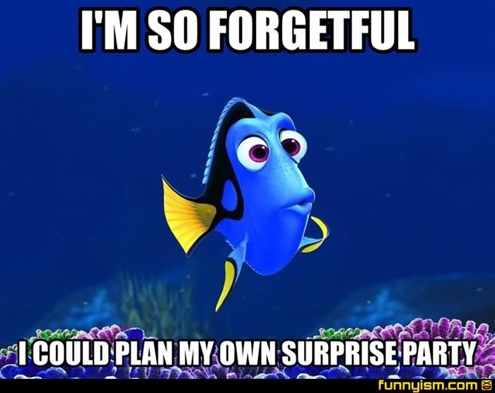 I Am So Forgetful I Could Plan Own Surprise Party Funny Meme Image