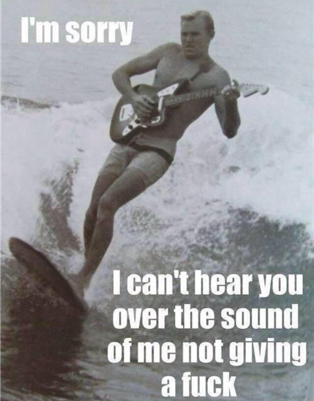 I Am Sorry I Can't Hear You Over The Sound Of Me Not Giving A Fuck Funny Surfing Meme Image