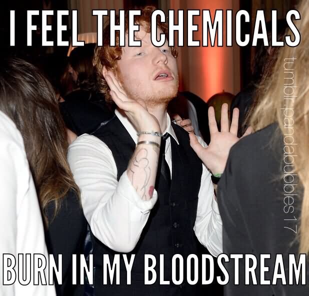 I Feel The Chemicals Burn In My Bloodstream Funny Party Meme Image