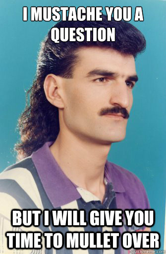 I Mustache You A Question Funny Mullet Meme Image