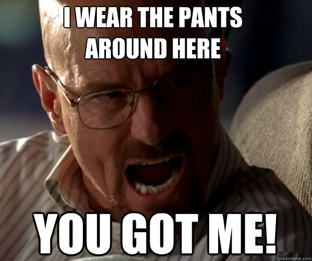 I Wear The Pants Around Here You Got Me Funny Meme Image