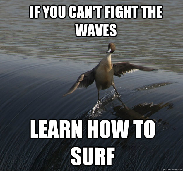 If You Can't Fight The Waves Funny Surfing Meme Picture