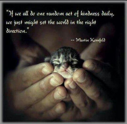 If we all do one random act of kindness daily, we just might set the world in the right direction.