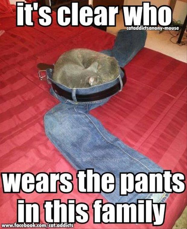 It's Clear Who Wears The Pants In This Family Funny Meme Image
