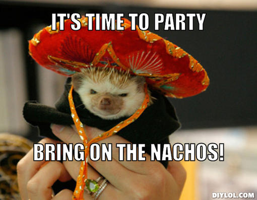It's Time To Party Brings On The Nachos Funny Meme Image